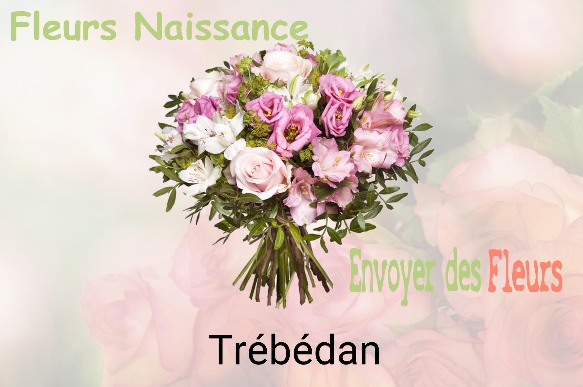 Bouquet de fleurs de naissance livré à Trébédan