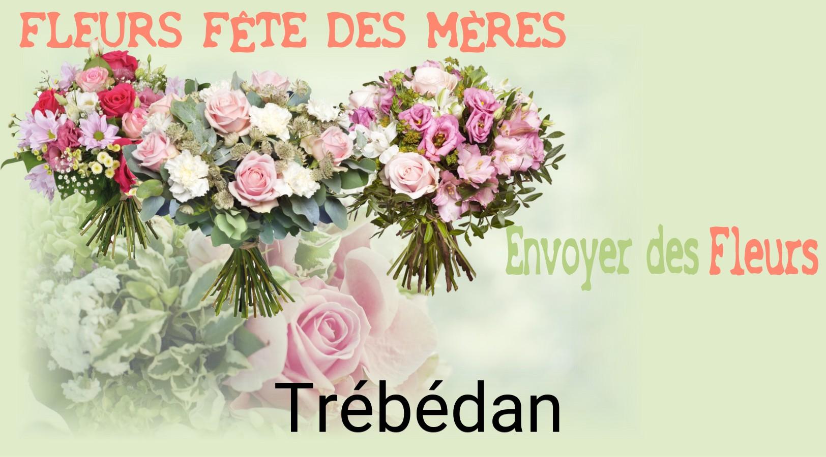 Bouquet de Fête des Mères livré à Trébédan
